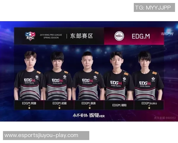 王者荣耀深度解析EDG战队的技术策略与战术布局